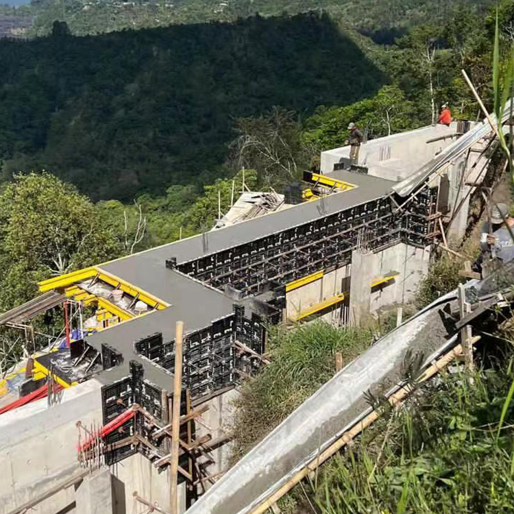 Molde plástico da parede do Abs ajustável para o derramamento concreto